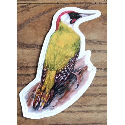 Žluna zelená, samolepka oboustranná