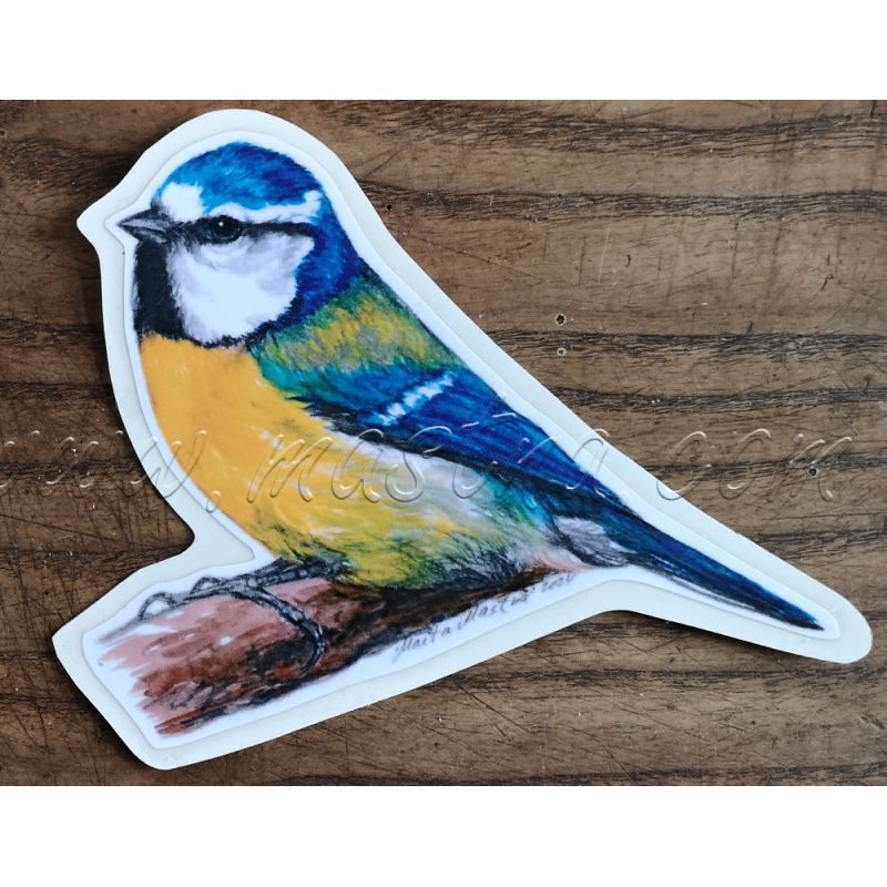 Sýkorka modřinka, samolepka oboustranná