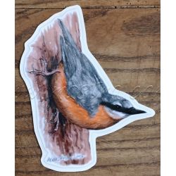 Brhlík lesní, samolepka oboustranná