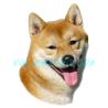 Šiba, shiba inu, samolepka oboustranná 251