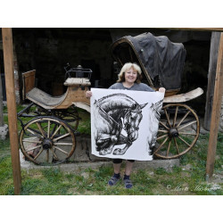 Samolepka kůň teplokrevník, parkur