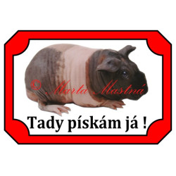 Tabulka morče skinny