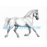 Kladrubský kůň, bělouš, samolepka koně C 665