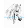 Starokladrubský kůň, bělouš, samolepka koně C 667