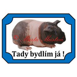 Tabulka morče skinny