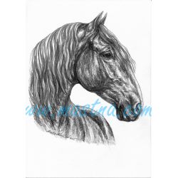 Kladrubský kůň, vraník, samolepka koně C 666