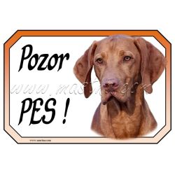 Maďarský ohař - vyžla, cedulka pozor