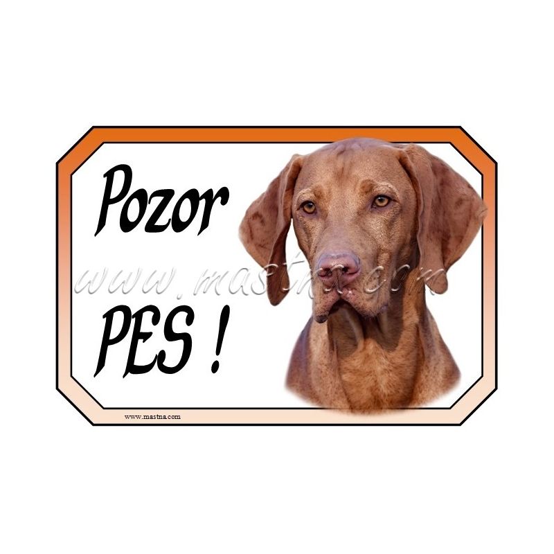 Maďarský ohař - vyžla, cedulka pozor