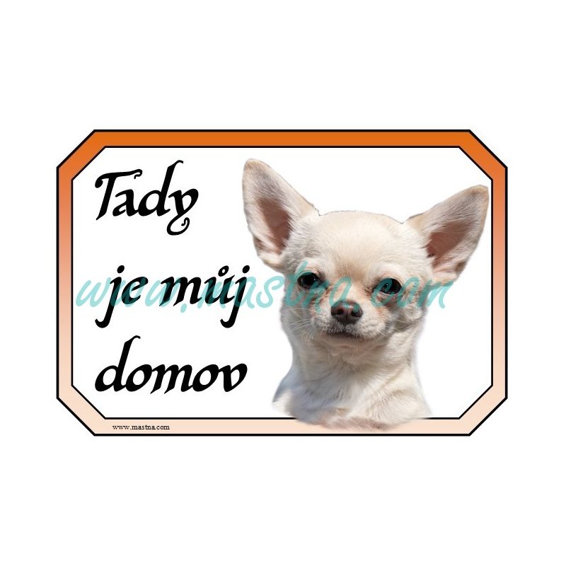 Cedulka čivava krátkosrstá, chihuahua, domov