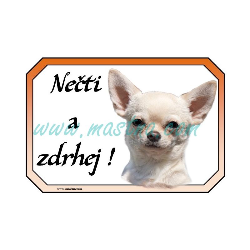 Cedulka čivava krátkosrstá, chihuahua, zdrhej