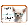 Cedulka čivava krátkosrstá, chihuahua, zdrhej