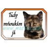 Cedulka kočka želvovinová mňoukám
