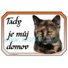 Cedulka kočka želvovinová domov