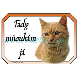 Kočka rezavá, cedulka mňoukám