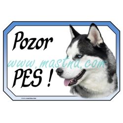 Cedulka sibiřský husky pozor