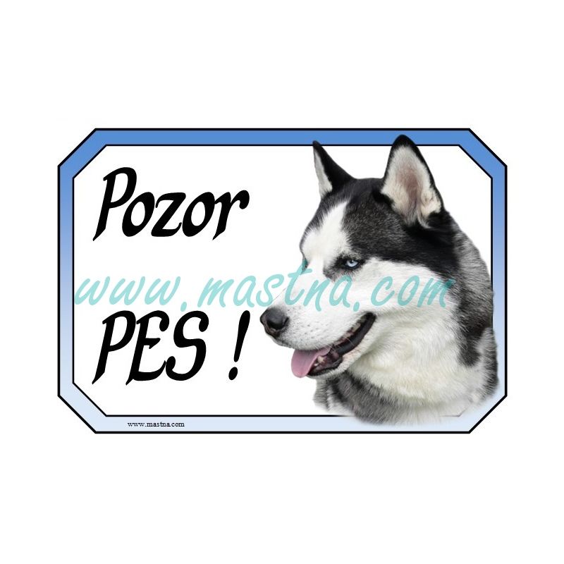 Cedulka sibiřský husky pozor