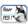 Cedulka sibiřský husky pozor