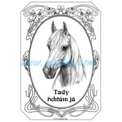 Cedulka shagya arab, kůň, koně kresba