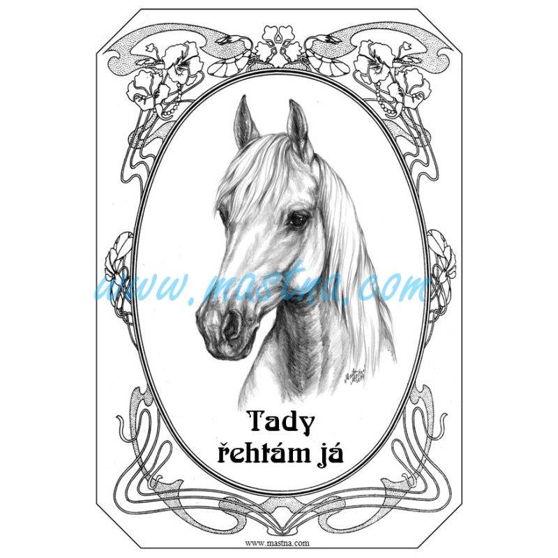Cedulka shagya arab, kůň, koně kresba