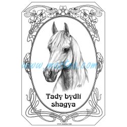 Cedulka shagya arab, kůň, koně kresba 2
