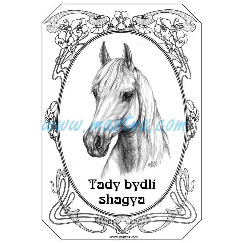 Cedulka shagya arab, kůň, koně kresba 2
