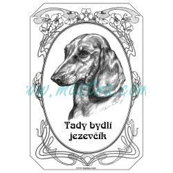 Cedulka jezevčík hladkosrstý, ovál 2