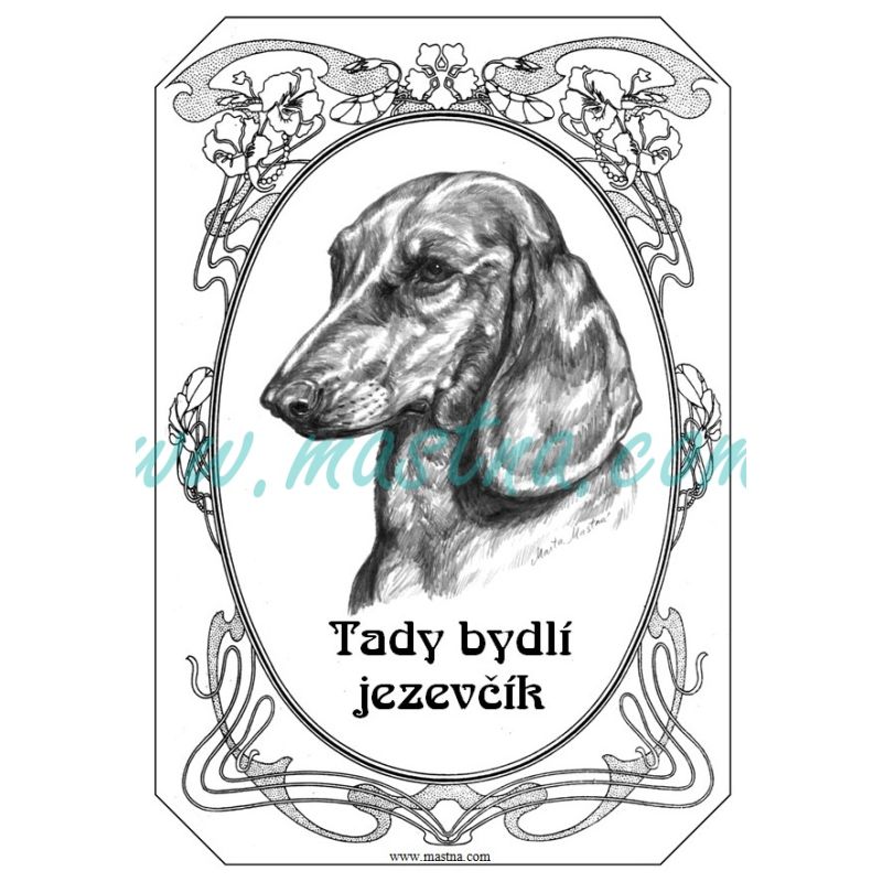 Cedulka jezevčík hladkosrstý, ovál 2