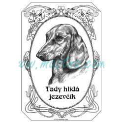 Cedulka jezevčík hladkosrstý, ovál