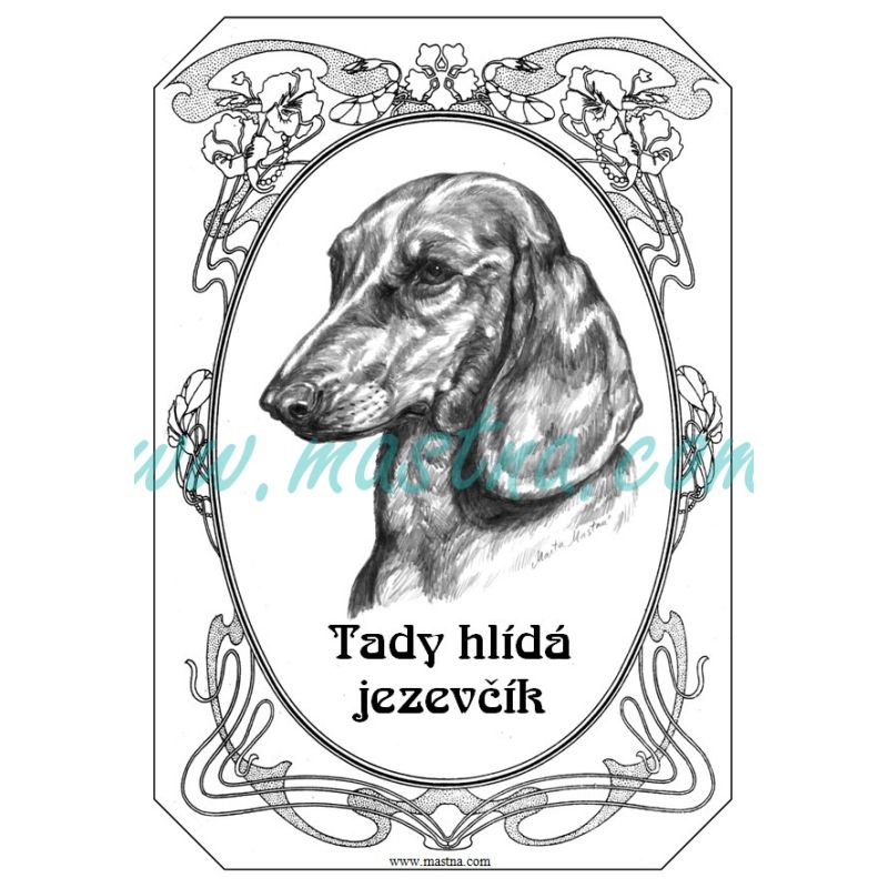 Cedulka jezevčík hladkosrstý, ovál