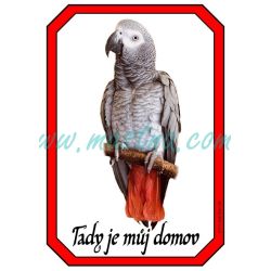 Papoušek žako cedulka domov