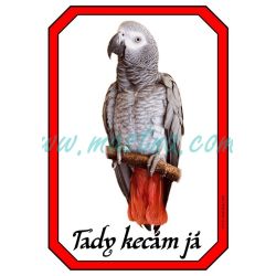 Papoušek žako cedulka kecám 2