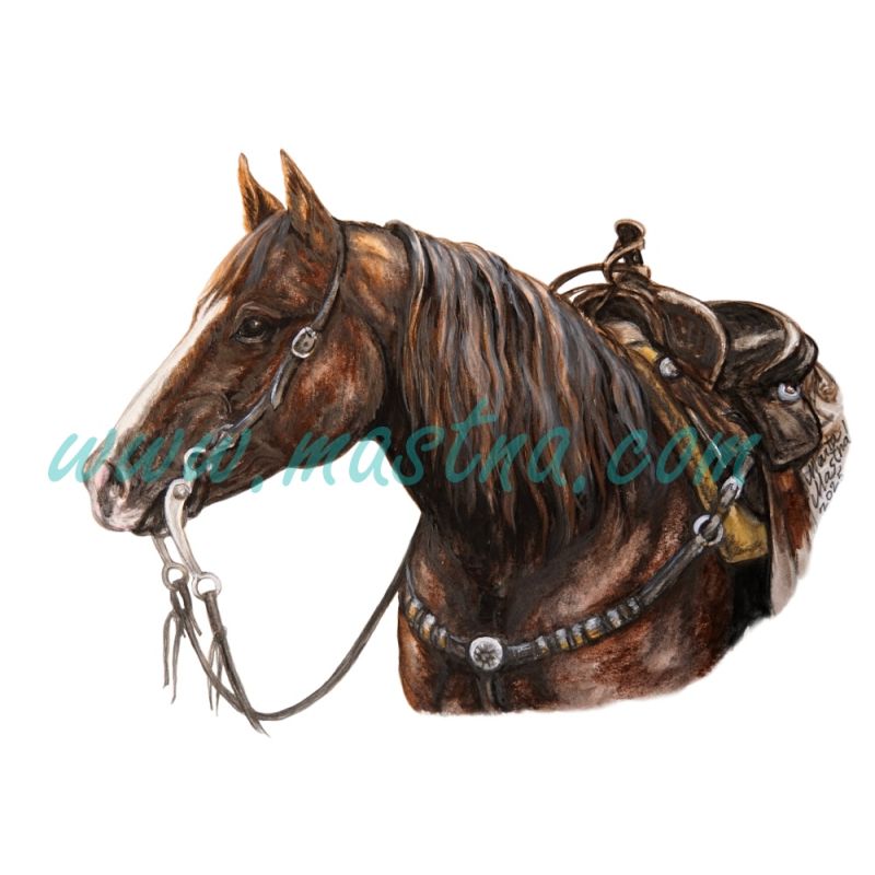 Obraz hřebec quarter horse