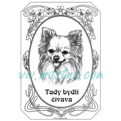 Cedulka čivava, chihuahua secesní