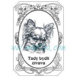 Cedulka čivava, chihuahua secesní 2