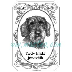 Tabulka jezevčík drsnosrstý