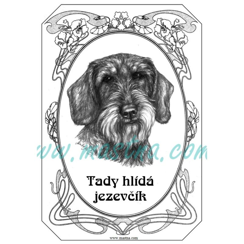 Tabulka jezevčík drsnosrstý