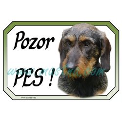 Jezevčík drsnosrstý cedulka pozor