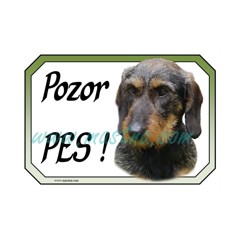 Jezevčík drsnosrstý cedulka pozor