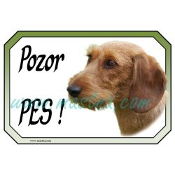 Jezevčík drsnosrstý plavý cedulka pozor