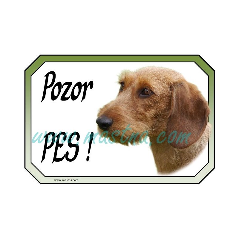 Jezevčík drsnosrstý plavý cedulka pozor