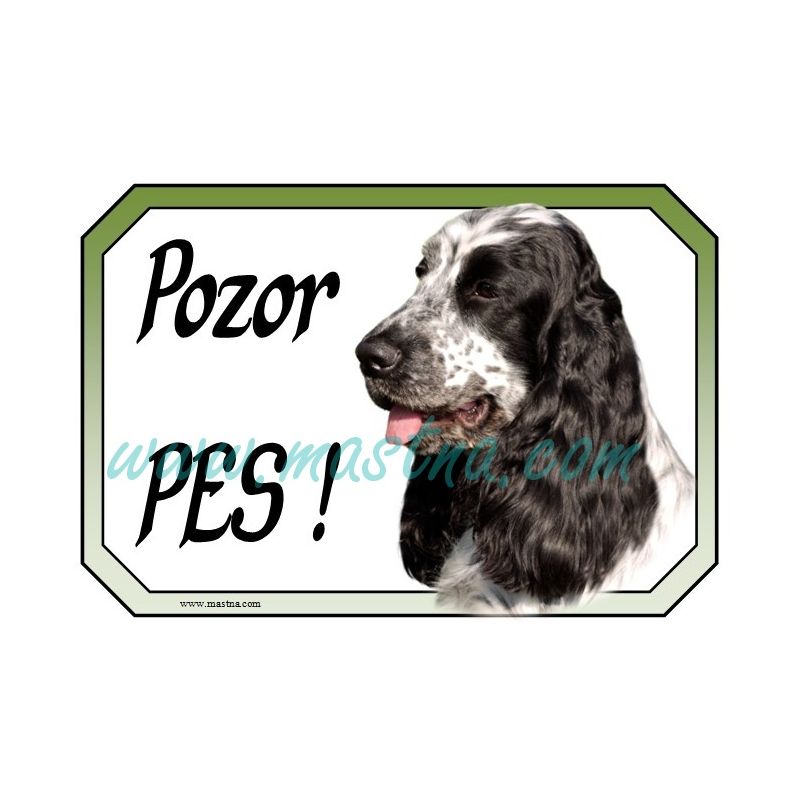 Kokršpaněl bělouš cedulka pozor