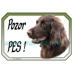 Ohař německý dlouhosrstý hnědák, cedulka pozor