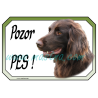 Ohař německý dlouhosrstý hnědák, cedulka pozor