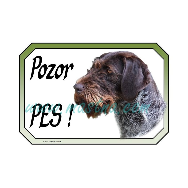 Ohař německý drátosrstý, fousek cedulka pozor