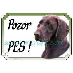 Ohař německý krátkosrstý hnědák cedulka pozor