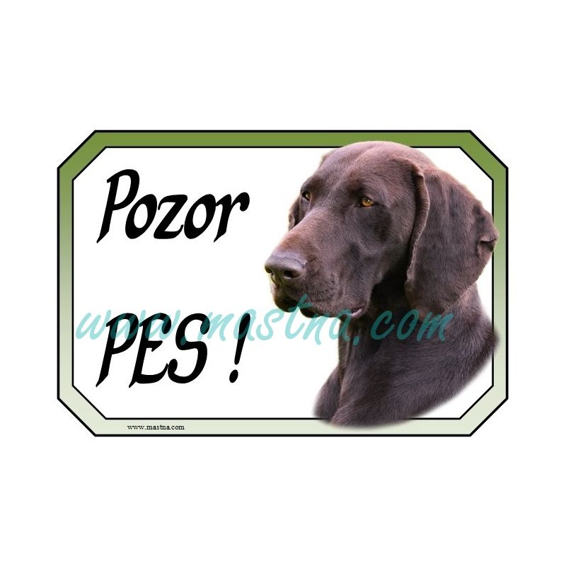 Ohař německý krátkosrstý hnědák cedulka pozor