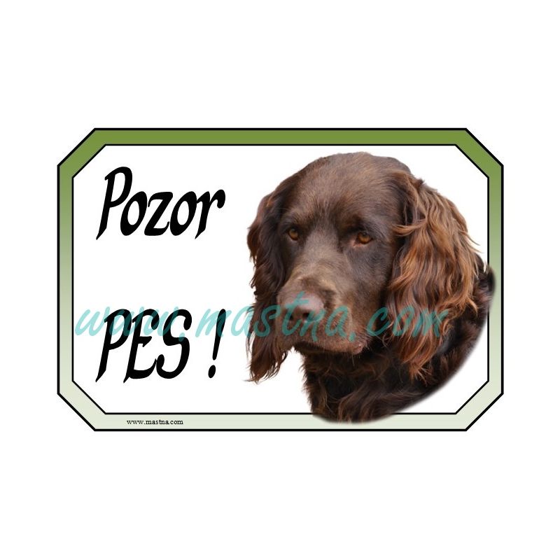 Německý křepelák hnědák cedulka pozor