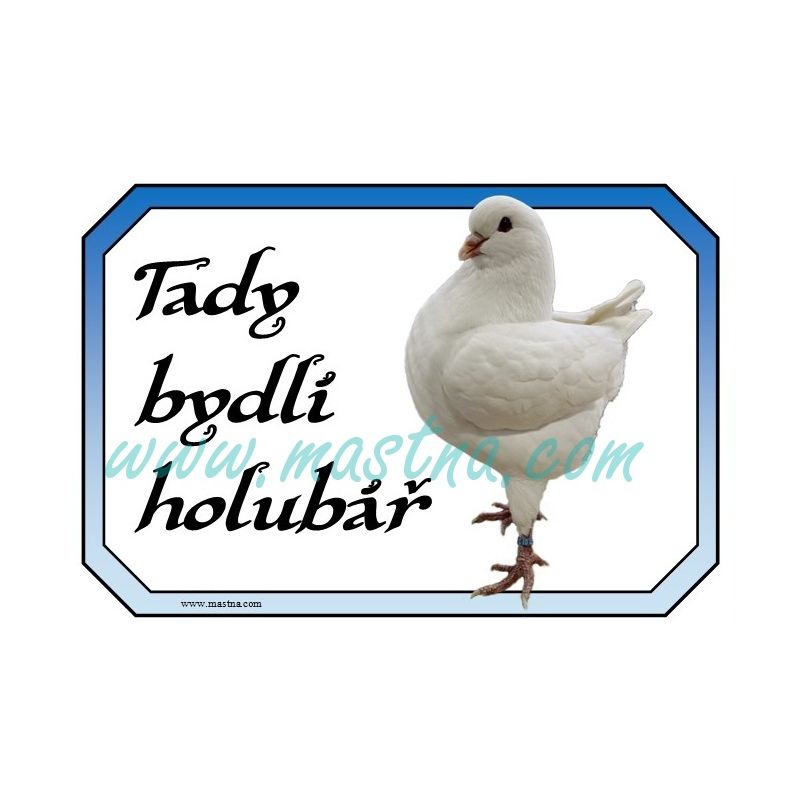 Cedulka holub king bílý