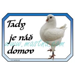 Cedulka holub king bílý, domov