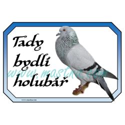 Cedulka holub moravský morák, voláč